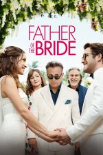 Father of the Bride Indonesian Subtitle