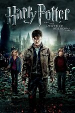 Harry Potter and the Deathly Hallows: Part 2 Arabic Subtitle