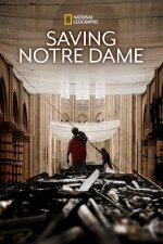 Saving Notre-Dame (2020) (TV) (2020)