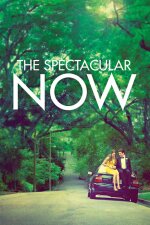 The Spectacular Now English Subtitle