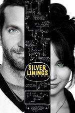 Silver Linings Playbook Brazillian Portuguese Subtitle