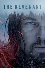 The Revenant French Subtitle