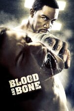 Blood and Bone English Subtitle