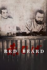 Red Beard Farsi/Persian Subtitle
