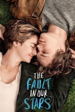 The Fault in Our Stars French Subtitle