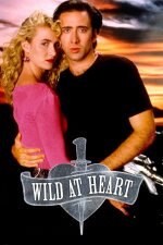 Wild at Heart Indonesian Subtitle
