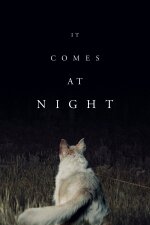 It Comes at Night Indonesian Subtitle