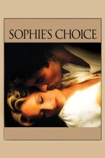 Sophie&apos;s Choice French Subtitle
