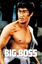The Big Boss Indonesian Subtitle