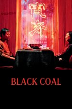 Black Coal, Thin Ice (2014)