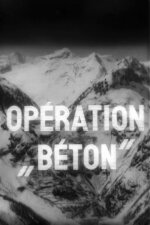 Operation Concrete Spanish Subtitle