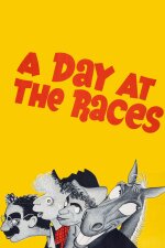 A Day at the Races Finnish Subtitle