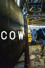 Cow Indonesian Subtitle