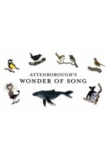 Attenborough&apos;s Wonder of Song
