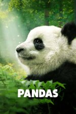 Pandas English Subtitle