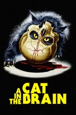 A Cat in the Brain French Subtitle
