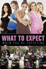 What to Expect When You&apos;re Expecting English Subtitle